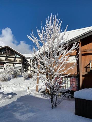 Appartement Les Combettes à Les Contamines-Montjoie Extérieur photo